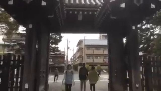 Kyoto ipad 120 смотреть онлайн