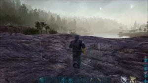 Гигантская пчела и мёд (Giant bee) в АРК. Лучший обзор приручение и способности  в ark.