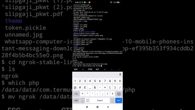 Publish Project Laravel Android Biar Bisa Diakses Publik. Free Tanpa Hosting Tanpa Domain смотреть онлайн