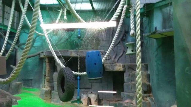 Московский зоопарк ч.14 доступен смотреть онлайн