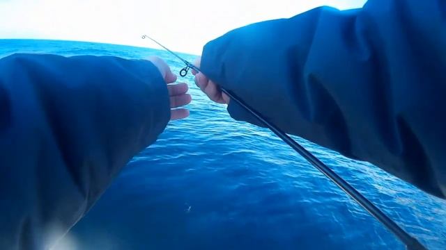 Рыбалка в черном море-Ловля ставриды на самодур смотреть онлайн