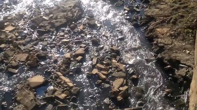 Джамгаровский пруд с другой стороны смотреть онлайн