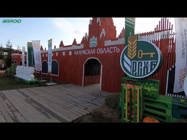 Хлеб-ты мир! Калужская область. Калужское тесто. смотреть онлайн