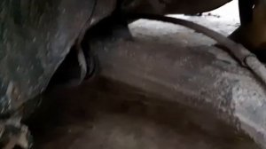 Лифан Солано 2 Скрип задних тормозов. Что и почему. Диски под замену!!!