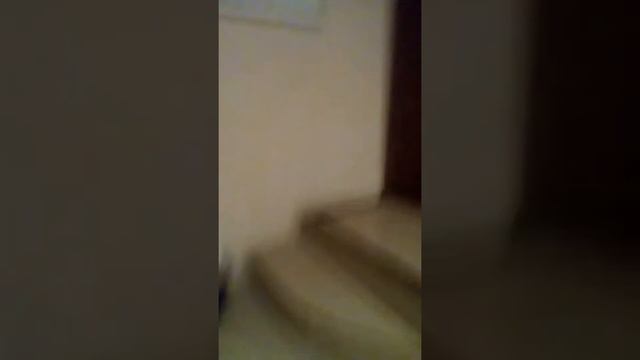 Наш дом в Кисловодске смотреть онлайн