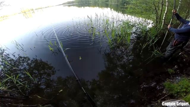 Линь на лесном озере, Lin On Forest