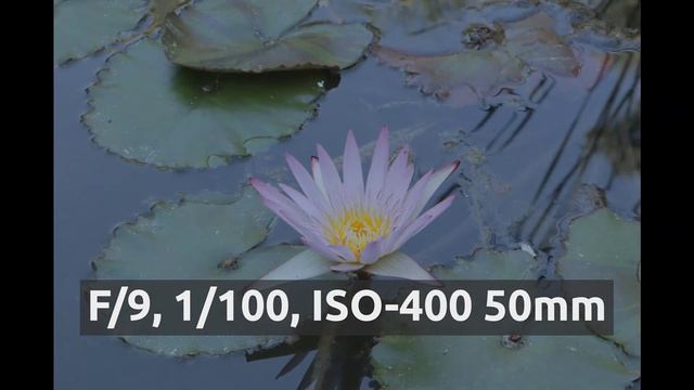 Canon 90D Lens Test - EF-S 18-135mm IS USM (kit lenses) - Photography Barcelona - 4K смотреть онлайн