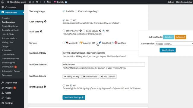 WordPress Newsletter plugin 4.6 смотреть онлайн