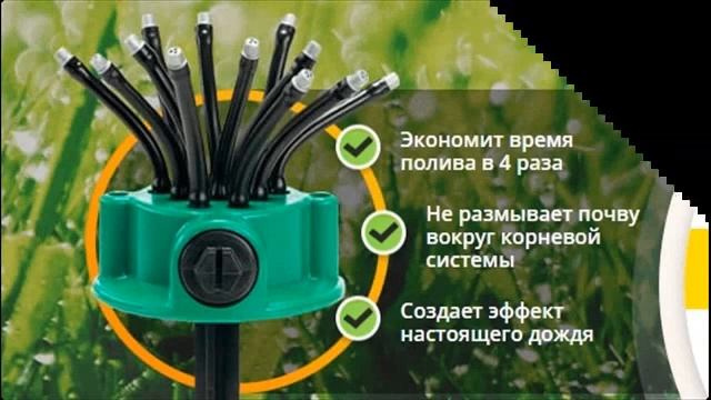 капельный полив на приусадебном участке