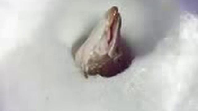 Смотреть Ловля Рыбы На Салтовке 535Мкр. - Ловля Рыбы Подъемником Видео смотреть онлайн