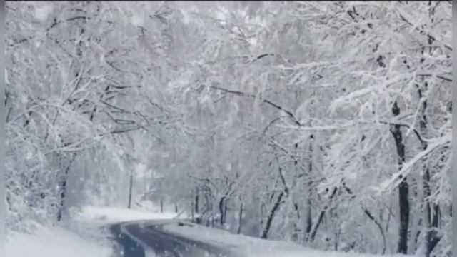 Антонио Вивальди. "Зима" (1 часть) смотреть онлайн