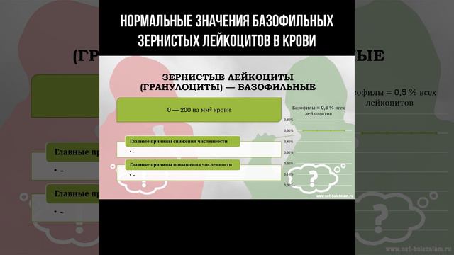 Нормальные значения базофильных зернистых лейкоцитов в крови #лейкоциты #составкрови смотреть онлайн