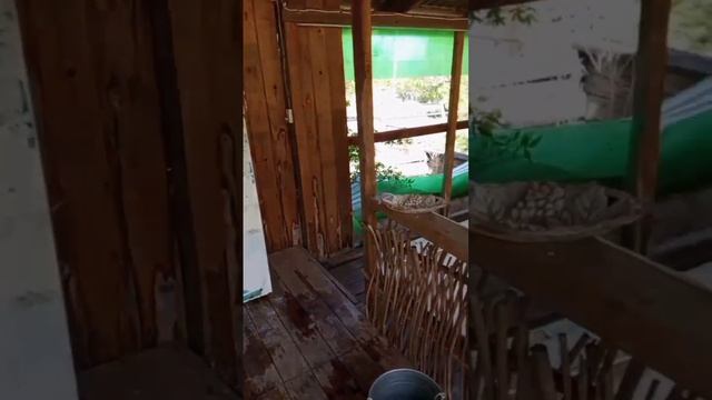 Как было и как стало. Пространство Любви центра " Золотое Сердце". Алтай смотреть онлайн