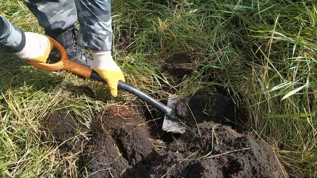 Во глубине сибирских руд. Начало поисков. смотреть онлайн
