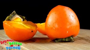 ФРУКТЫ + УЧИМ ФРУКТЫ + Видео про Фрукты + Карточки Домана + Обучающее видео детям