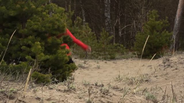 Ангел Пустых Городов (клип) смотреть онлайн