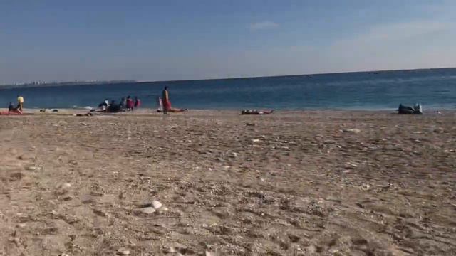 Анталия 🇹🇷 ПЛЯЖ 🏖 запись 22-ое ноября 2020 🐕 собаки 🐩 смотреть онлайн