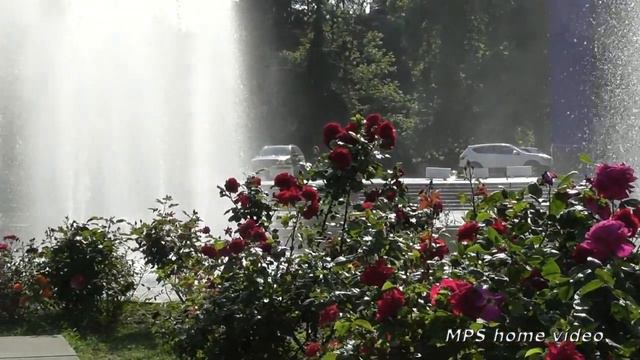 Ялта. Центр города(Советская площадь).Фонтан и розарий. HD смотреть онлайн