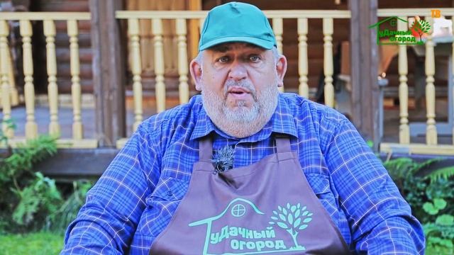 Как подготовить сад к зиме? Удачный огород смотреть онлайн