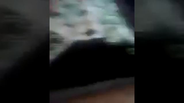 Как ранили мою спину и что у меня сейчас находится дома смотреть онлайн