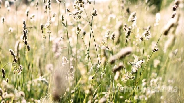 Ты еще что-то от меня ждешь? Как тебе это вообще в голову пришло… смотреть онлайн