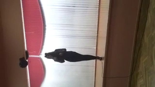 Iowa бьет-бит смотреть онлайн