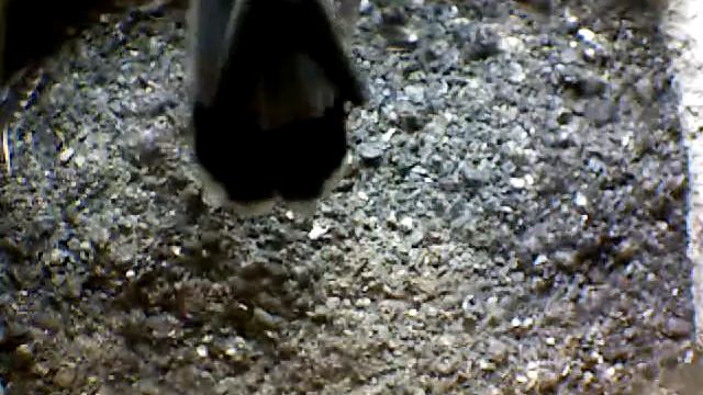 From Internet Camera(Turmfalken[03:1A:A5])2014/07/05,10:20:54_D смотреть онлайн