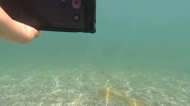Утопил Samsung S22 Ultra и GoPro 11 mini часть #1 вид с экшн камеры GoPro смотреть онлайн
