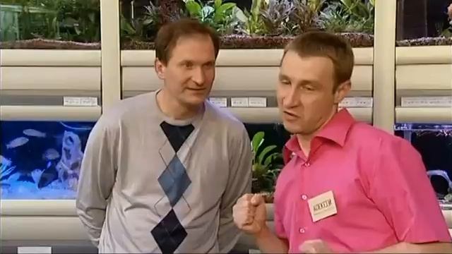 Бойцовые рыбы | 6 кадров смотреть онлайн