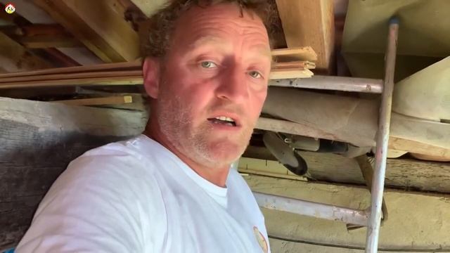 Начальное гнездо азиатского шершня. Охотник на шершня (сезон 2022) смотреть онлайн