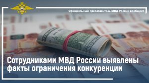 Ирина Волк: Сотрудниками МВД России выявлены факты ограничения конкуренции