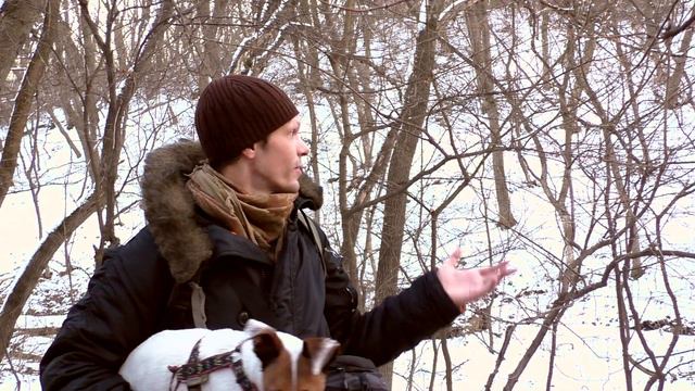Дубровский и хвост СРОЧНОЕ ОБРАЩЕНИЕ К ПОДПИСЧИЦАМ смотреть онлайн
