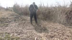 Косим камыш мульчирующий диск MU-DI