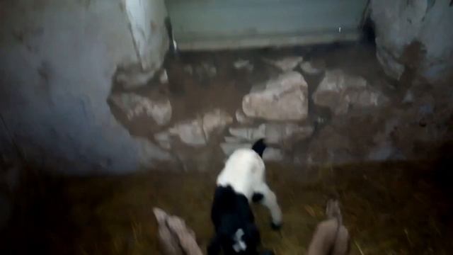 Они по одному не приходят... смотреть онлайн