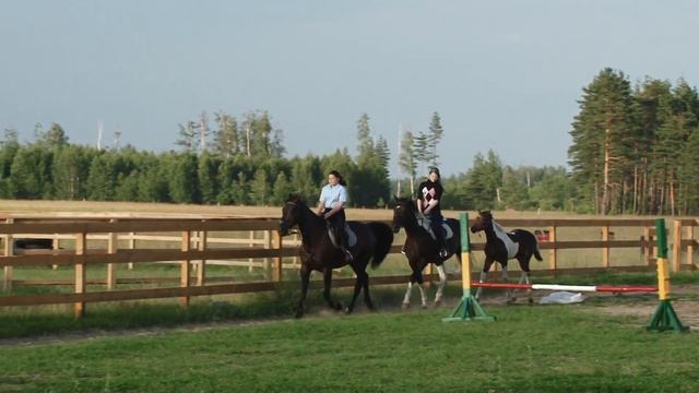 Уроки верховой езды на ферме в Рыжево смотреть онлайн