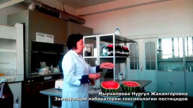 Проверка нитратов в арбузе смотреть онлайн