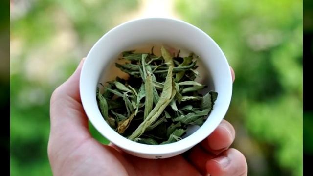 КЕТЧУП НА САМОМ ДЕЛЕ — ПОЛЕЗЕН!! Неизвестные свойства хорошо известных продуктов! смотреть онлайн