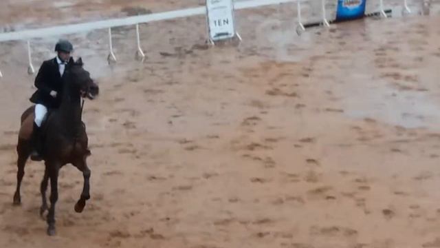 Diego Viera con Carbonero Prueba 1m caballos nuevos. 1er.puesto. 13/08/2017 Aniversario Reg.Cab.N 3 смотреть онлайн
