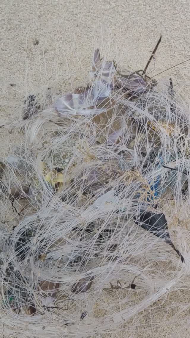 Поймала огромных крабов в сетке пляж Патонг.
Таиланд 2024 за 50 тысяч рублей с перелетом.Тутси диет смотреть онлайн