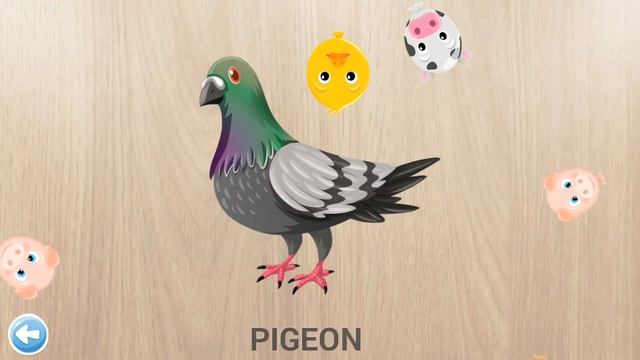 Fun Animal Puzzles For Kids #10. Solve, Play And Learn.
