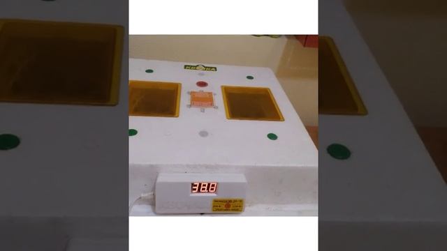 ЛУЧШИЙ РЕЖИМ ИНКУБАЦИИ КУРИНЫХ ЯИЦ. ВЫВОД ЦЫПЛЯТ В ИНКУБАТОРЕ. ВСЁ ЧТО НУЖНО ЗНАТЬ ПРИ ИНКУБАЦИИ ЯИ смотреть онлайн