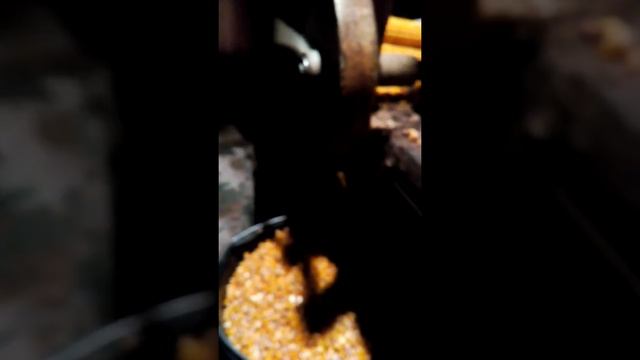 Чистка кукурузы смотреть онлайн
