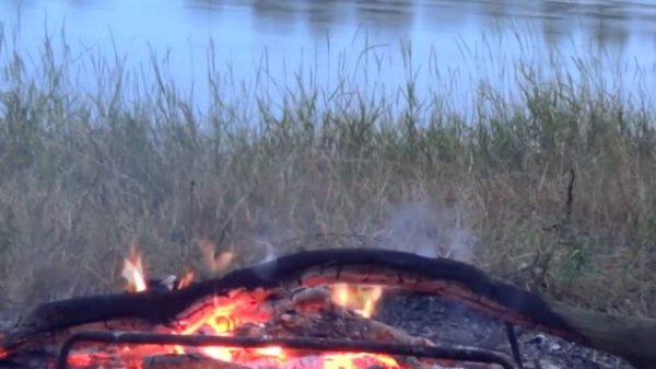 FEDOT — Мелодия Любви (Кавер)