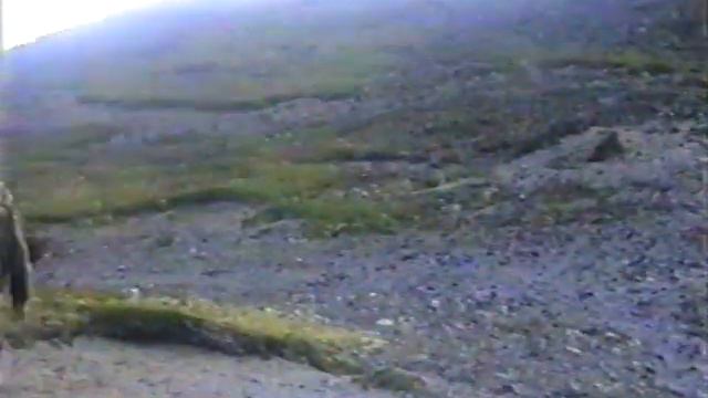 Камчатка. Банные 2000. смотреть онлайн