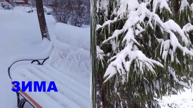 ЗИМА. Прогулка . Много снега !!! Елки и ели в снегу . смотреть онлайн