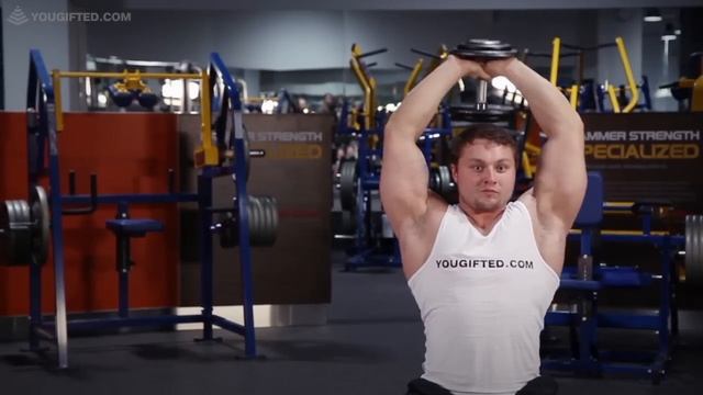 Упражнение для трицепсов. Разгибания рук с гантелью. смотреть онлайн