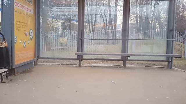 Поездка на трамвае 71-931М «Витязь-М» 31101 по маршруту 17 смотреть онлайн