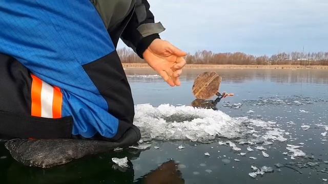 НЕ УСПЕЛ РАССТАВИТЬ ЖЕРЛИЦЫ СРАЗУ ЗАГАРЫ.Первый лёд. смотреть онлайн