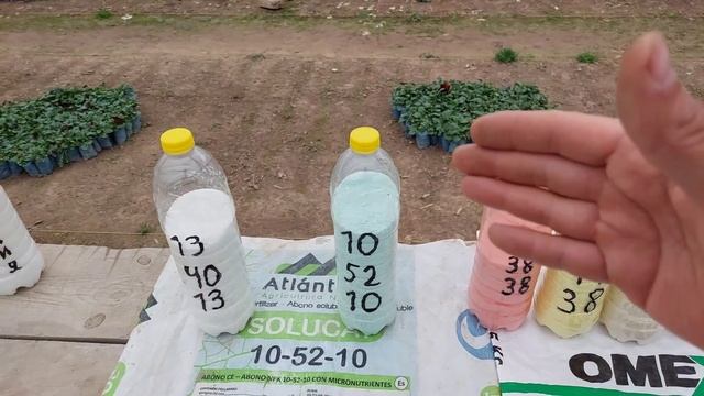 Строительные Сюжеты