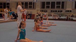 Спортивная гимнастика третий юношеский разряд